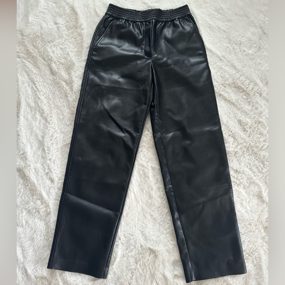 Black Aritzia Wilfred Leather Pants